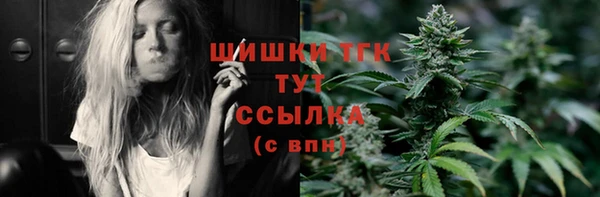 гидра Корсаков