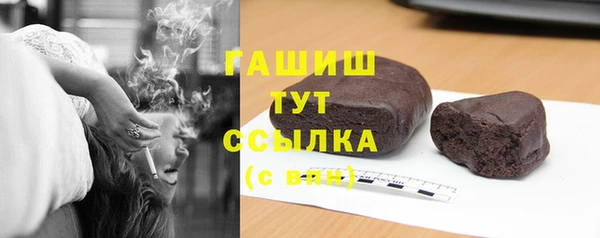 гидра Корсаков