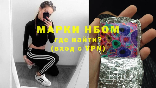 гидра Корсаков