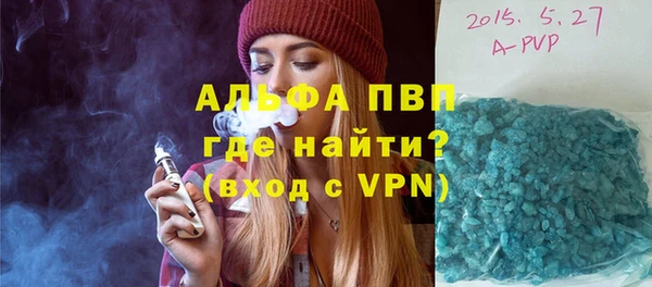 гидра Корсаков