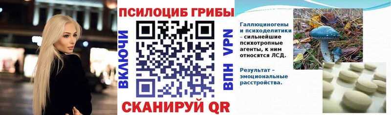 Псилоцибиновые грибы Psilocybine cubensis  Лукоянов 